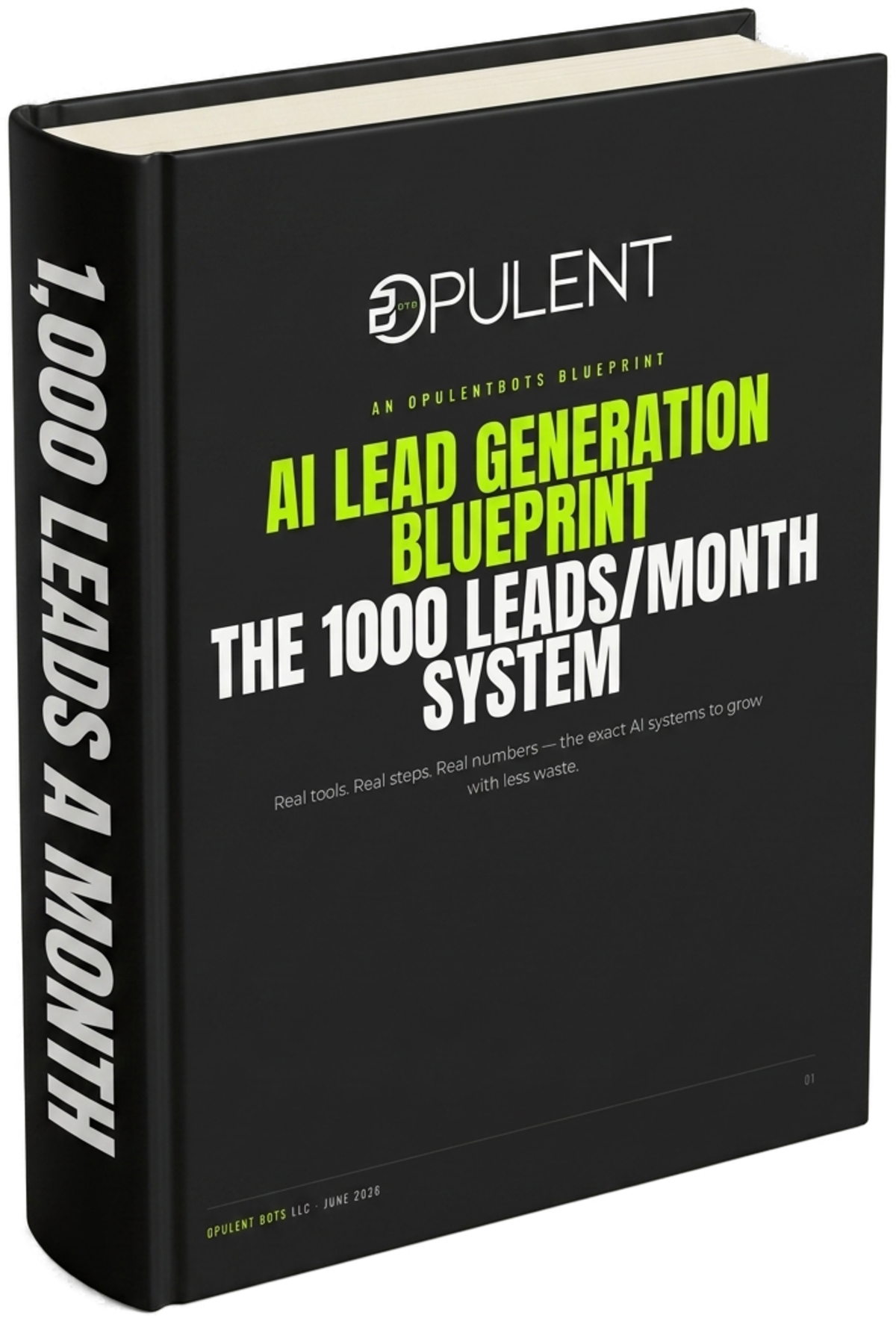 The 1,000-Lead Playbook